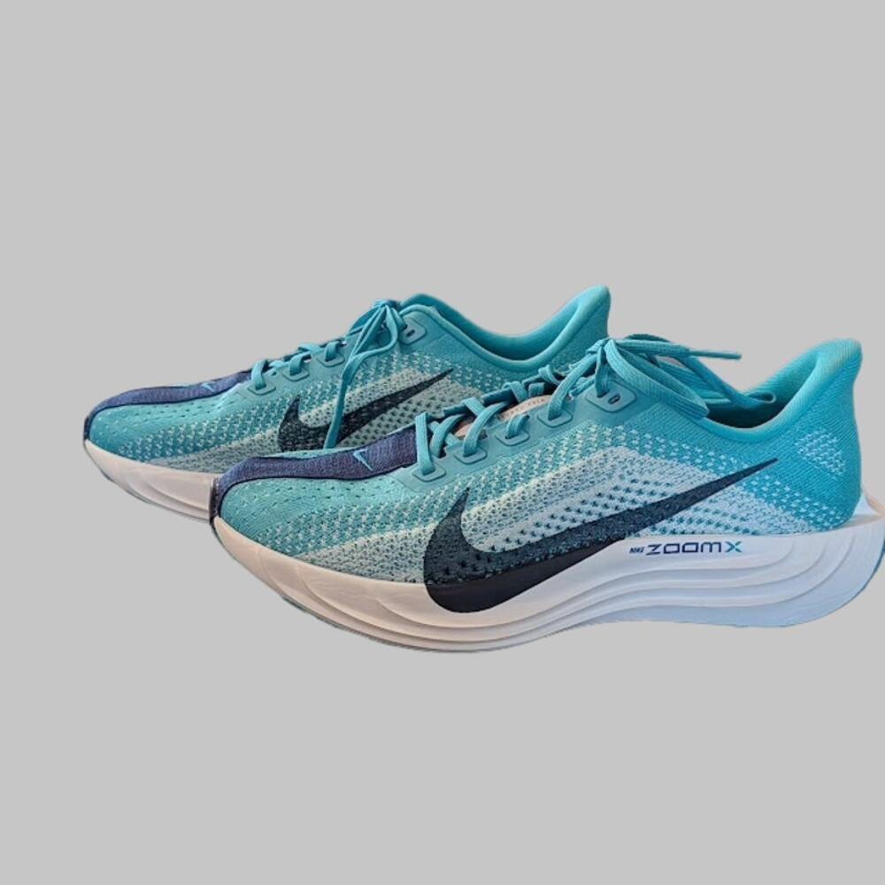 Nike Pegasus Plus Dusty Cactus Glacier Blue Size 8 8 Running ZoomX